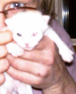 Anastasia 12 days old