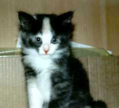 Biscayne 8 weeks