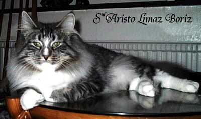 Boriz