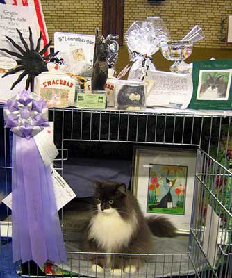 Here I am, 10½ years old, on the show at my big day with all the nice gifts!