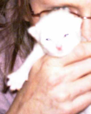 Drizella 12 days old