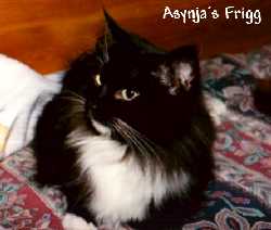 CH S*Asynjas Frigg