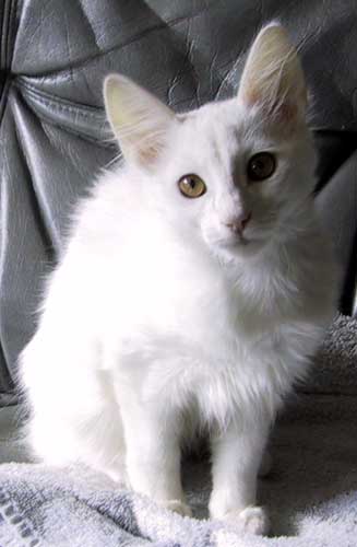 Super 15 weeks old
